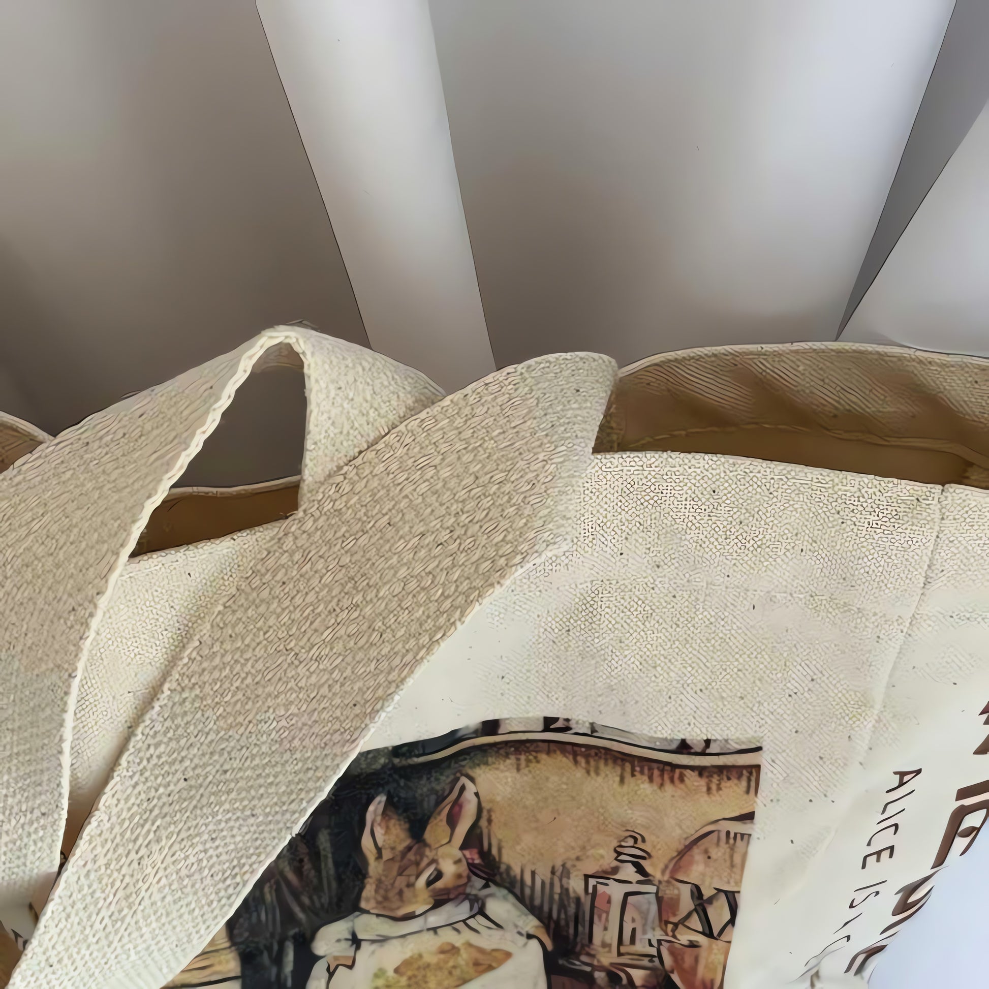 Alice in Wonderland Cloth Bag - KAYSMAR