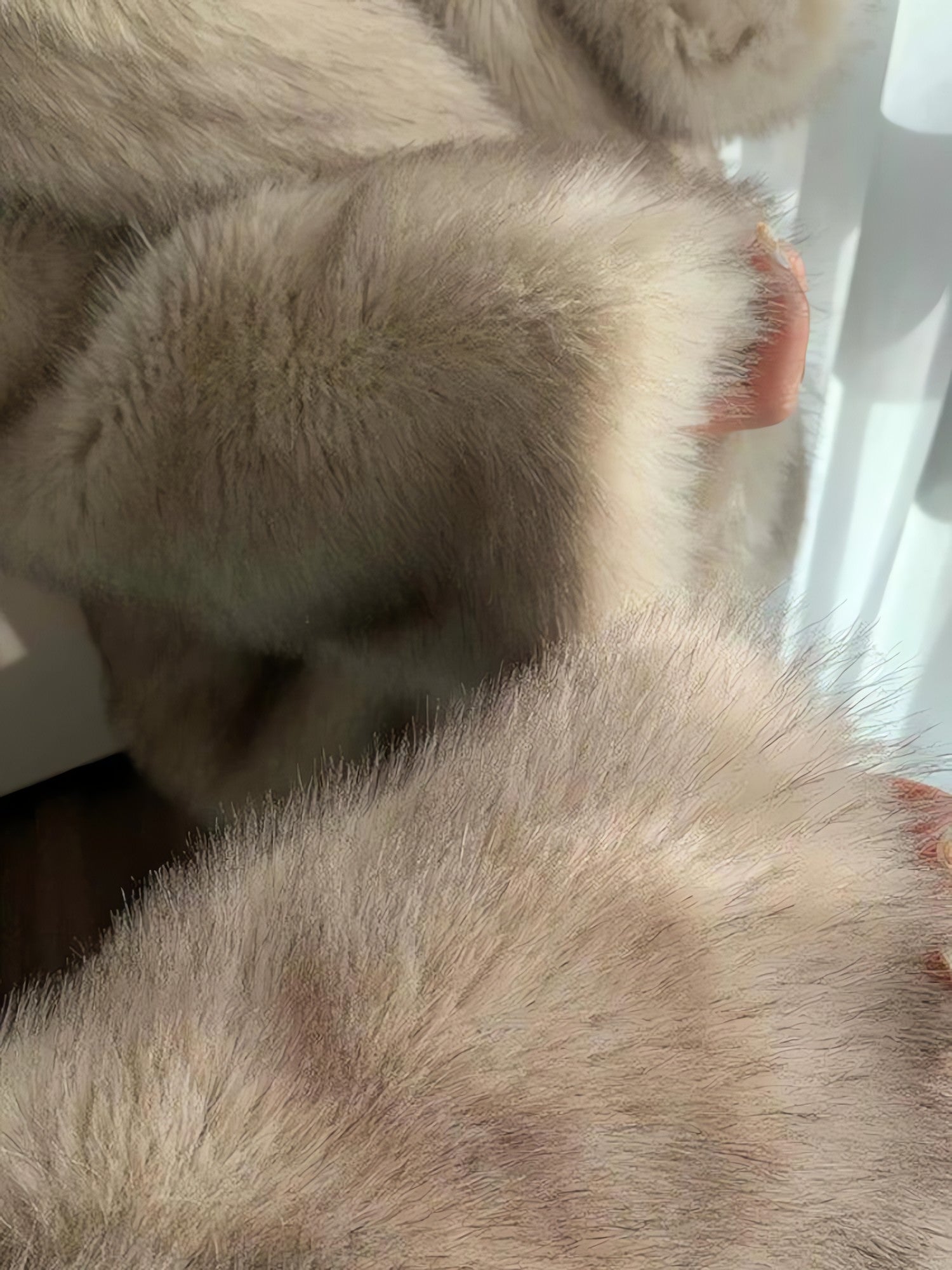 Fluffy Faux Fur Jacket - KAYSMAR