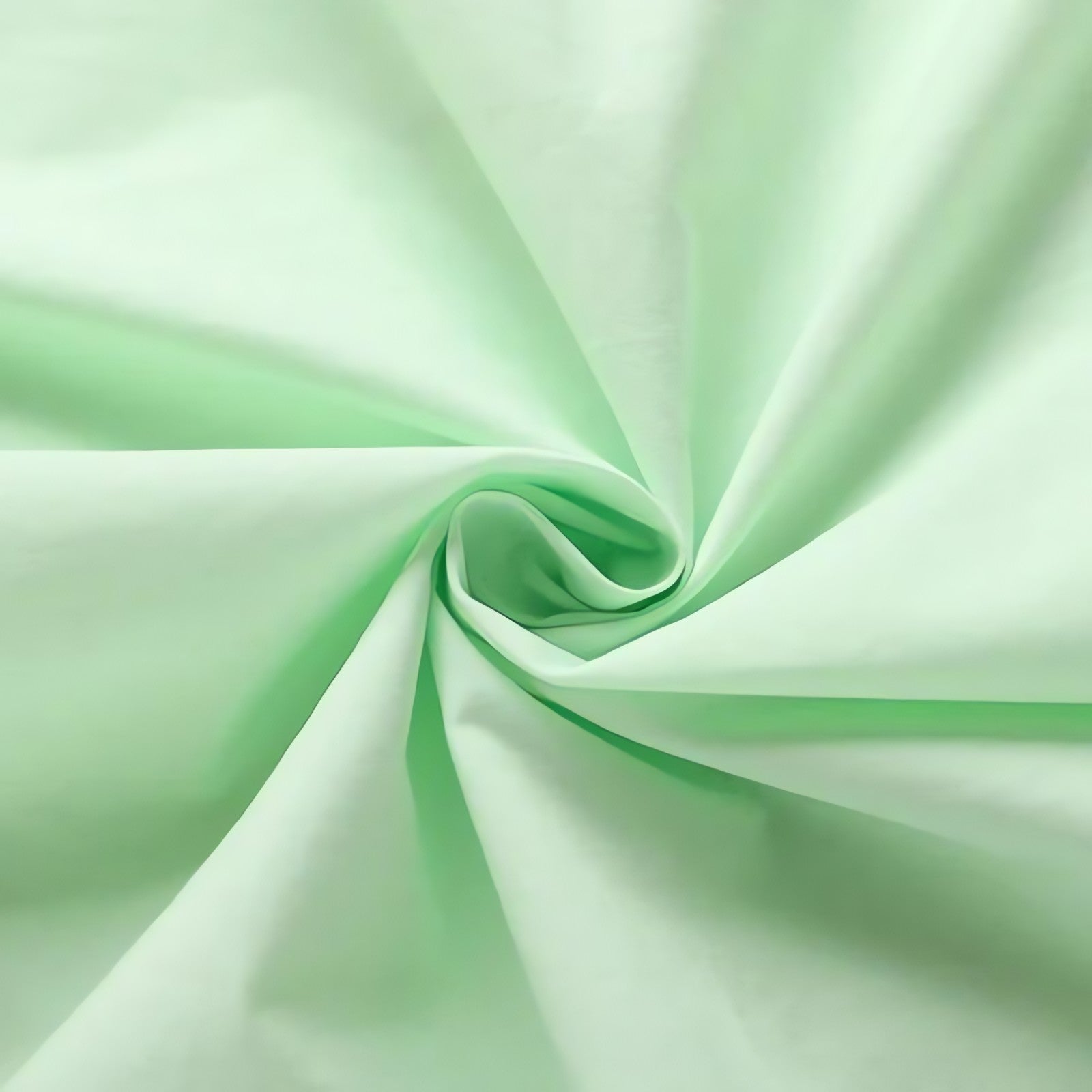 Frog Button Shirt - KAYSMAR