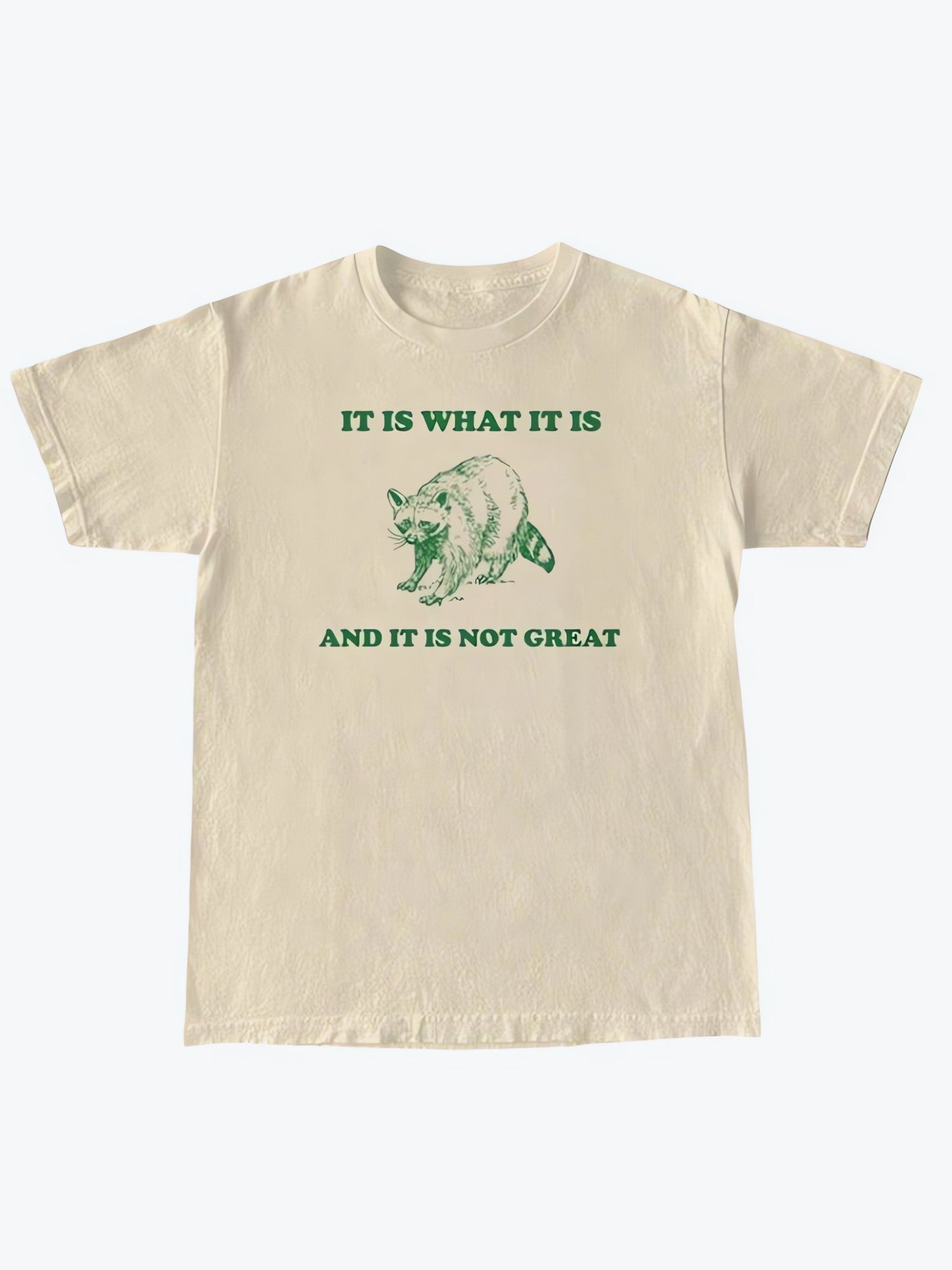 It Is What It Is Tee - KAYSMAR