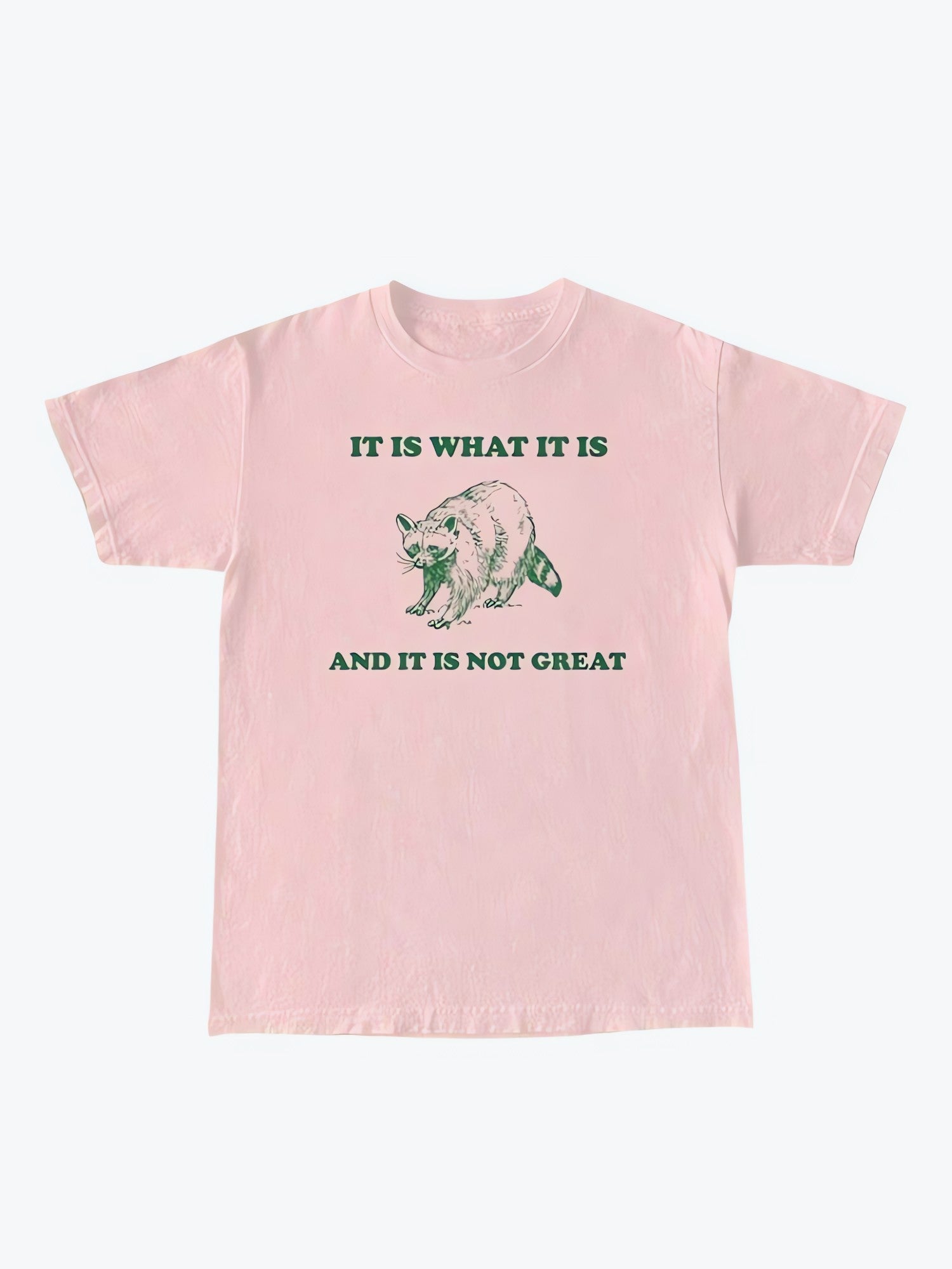 It Is What It Is Tee - KAYSMAR