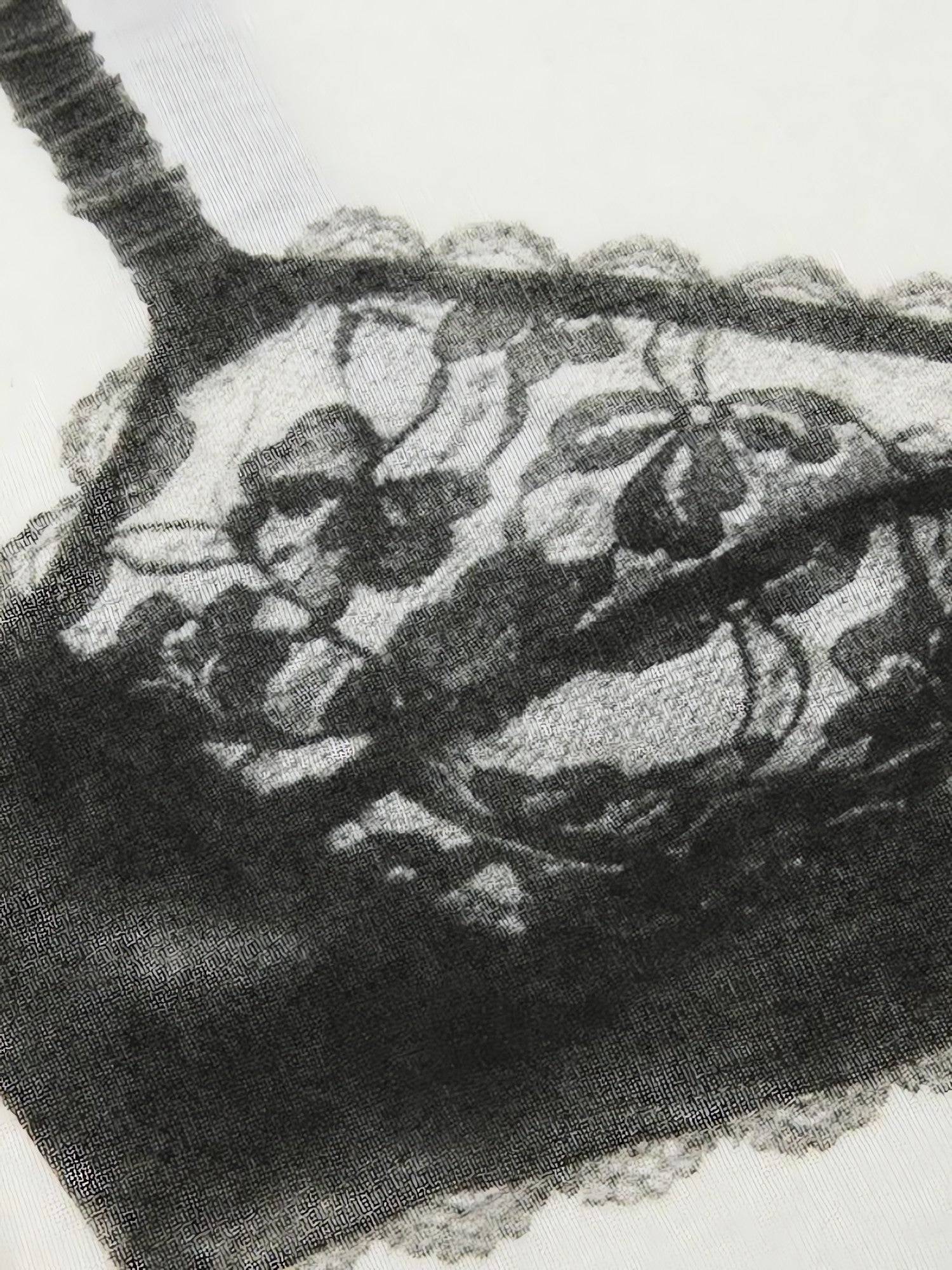 Lace Bra Tee - KAYSMAR