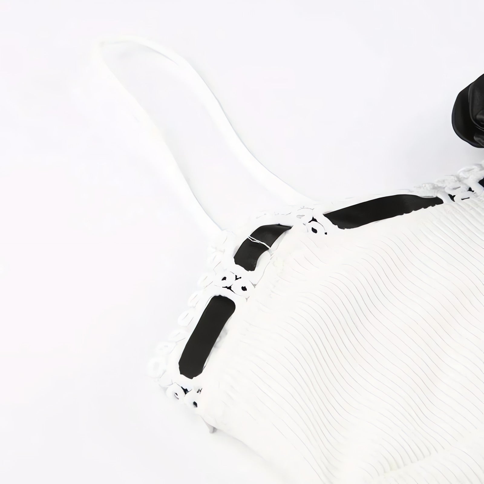 Coquette Rose Corduroy Mini Dress - KAYSMAR