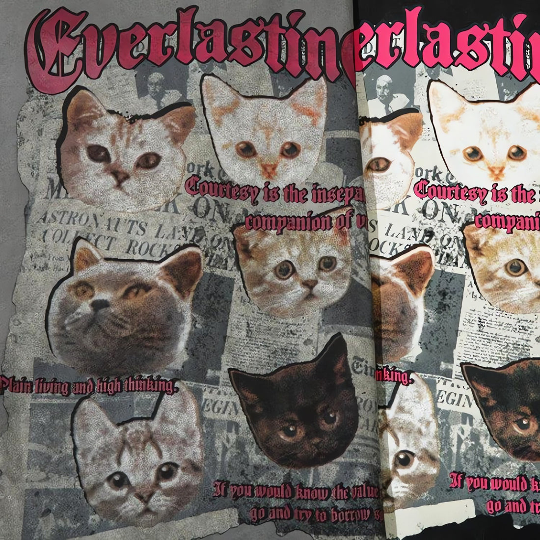 Everlasting Cats Tee - KAYSMAR