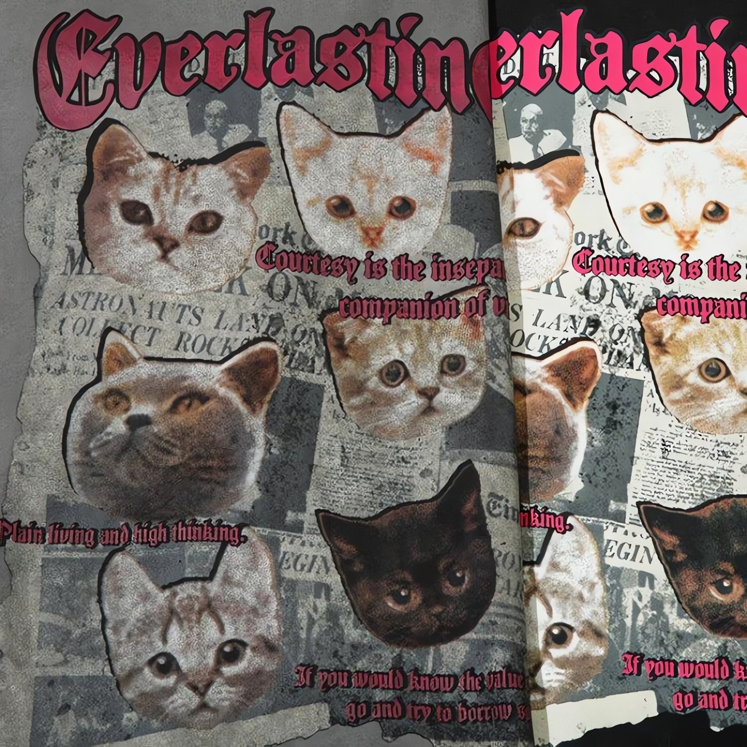 Everlasting Cats Tee - KAYSMAR