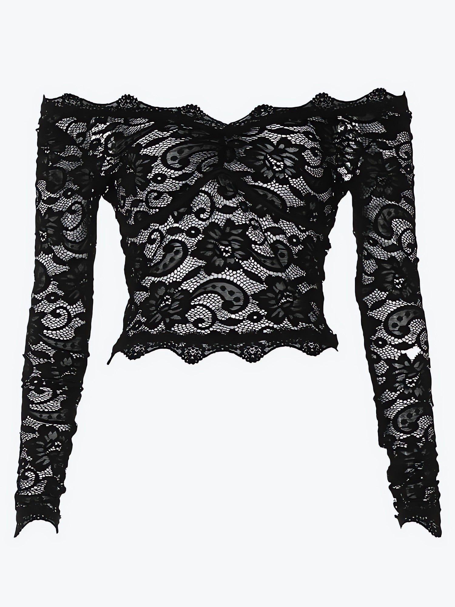 Lace Sheer Off Shoulder Top - KAYSMAR