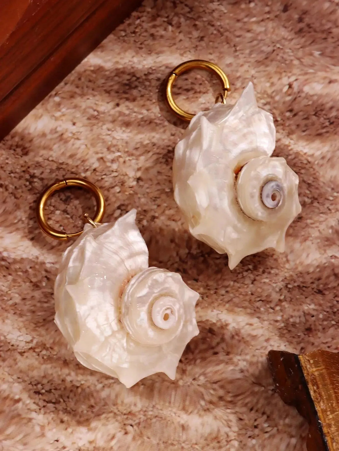 Seashell Earrings - KAYSMAR