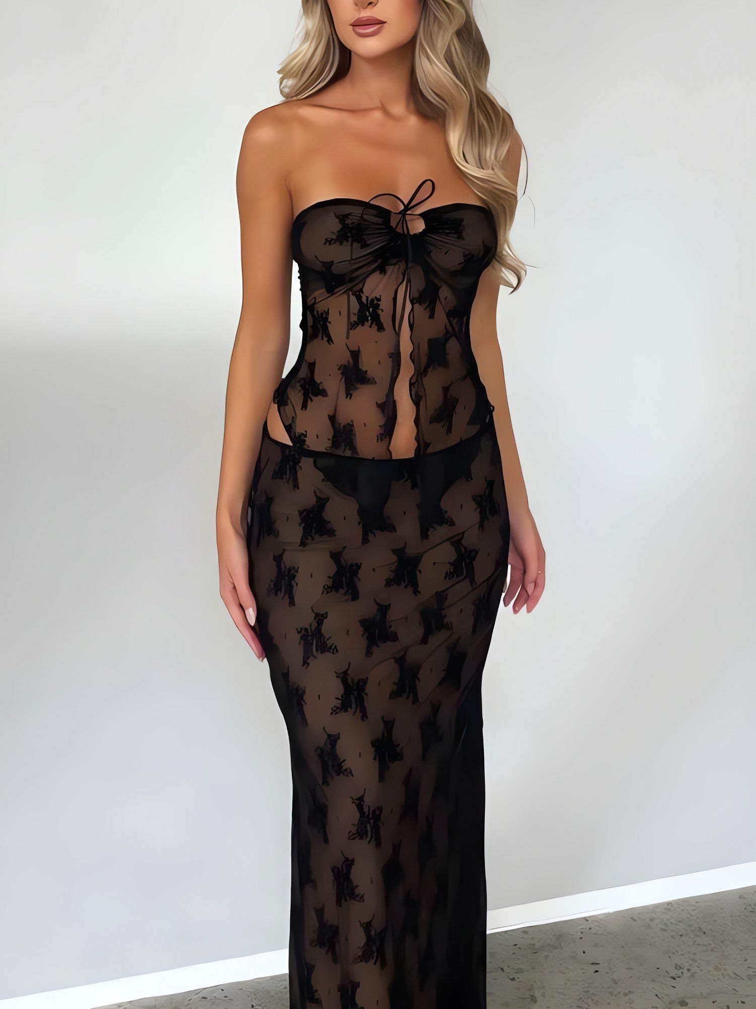 Strapless Sheer Top & Maxi Skirt Two Piece Set - KAYSMAR