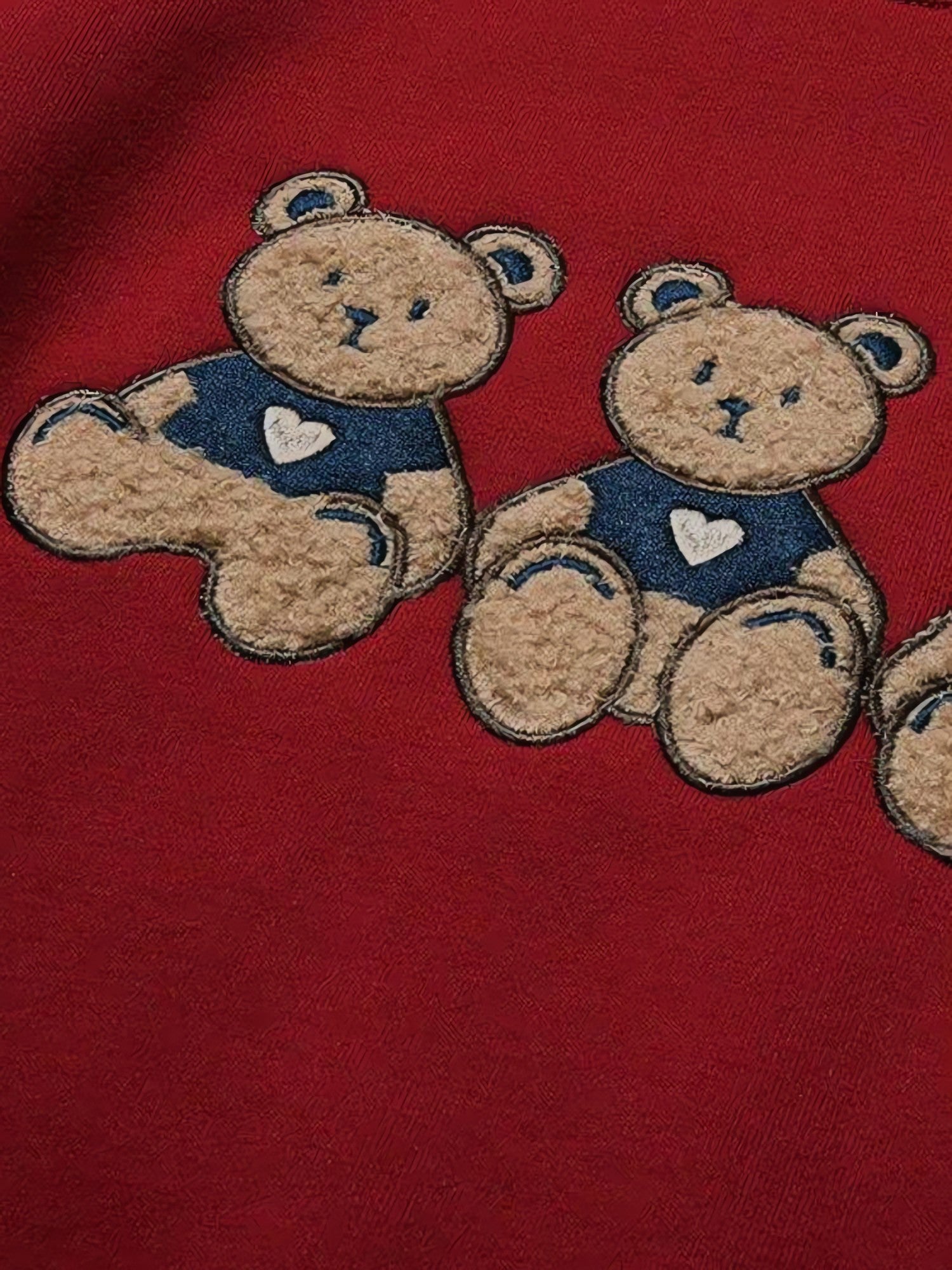 Teddy Bears Embroidered Sweatshirt - KAYSMAR